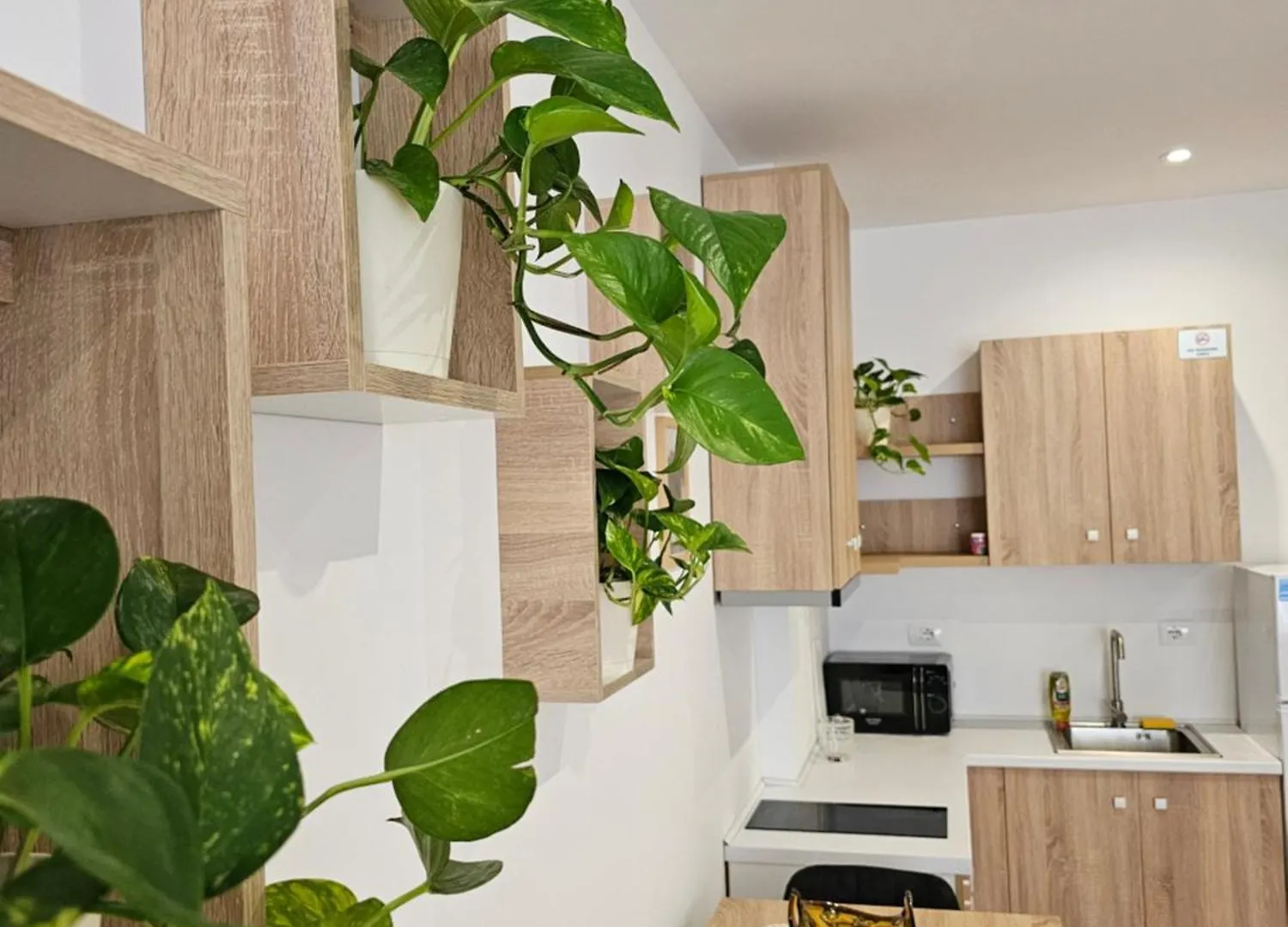 Apartment'S City Center Aquilo Tirana